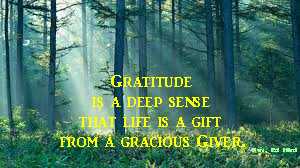 Gratitude is ...