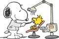 Snoopy at the Dentist